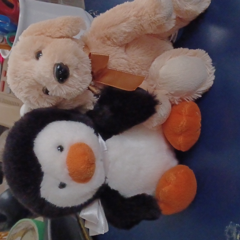 Shining Star Penguin and Pup